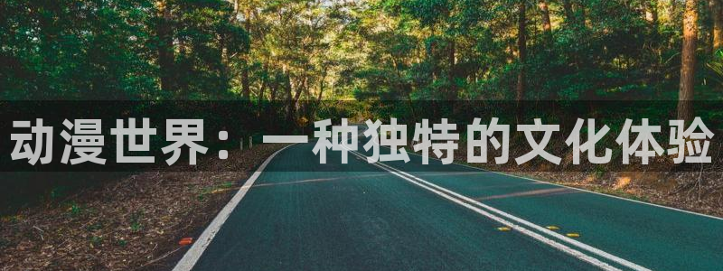 社会动漫樱花动漫：动漫世界：一种独特的文化体验