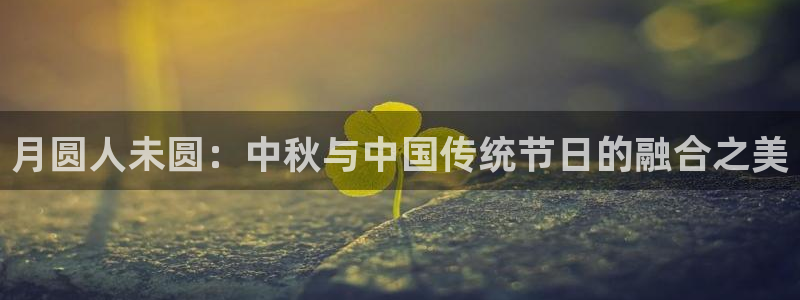 天降樱花动漫：月圆人未圆：中秋与中国传统节日的融合之美