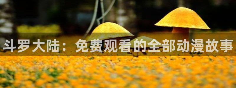 纯洁的轮舞曲樱花动漫在线观看：斗罗大陆：免费观看的全部动漫故事