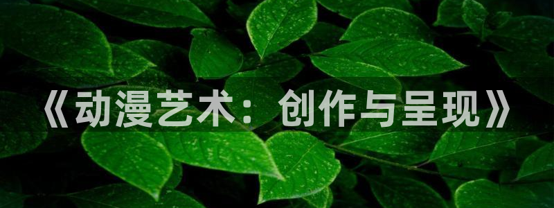 比基尼勇士樱花动漫：《动漫艺术：创作与呈现》