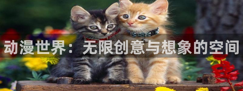 外星骇客家庭影视樱花动漫：动漫世界：无限创意与想象的空间
